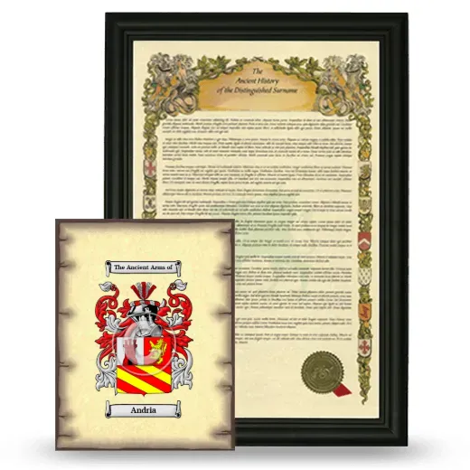 Andria Framed History and Coat of Arms Print - Black