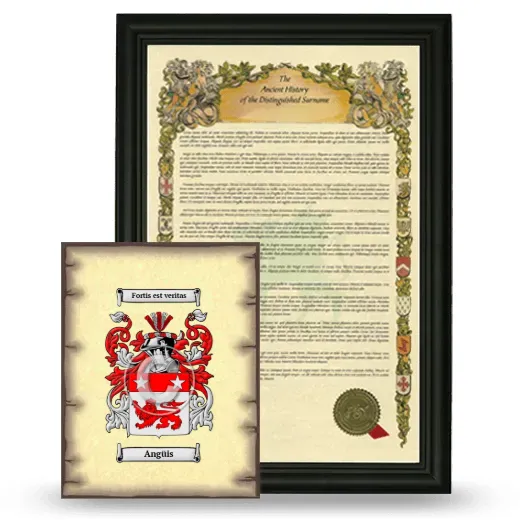 Angüis Framed History and Coat of Arms Print - Black