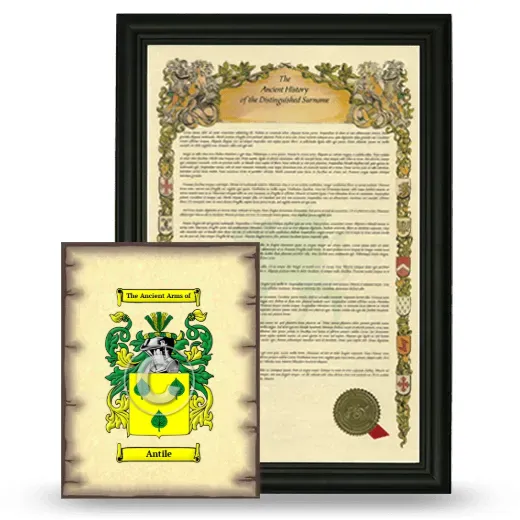 Antile Framed History and Coat of Arms Print - Black