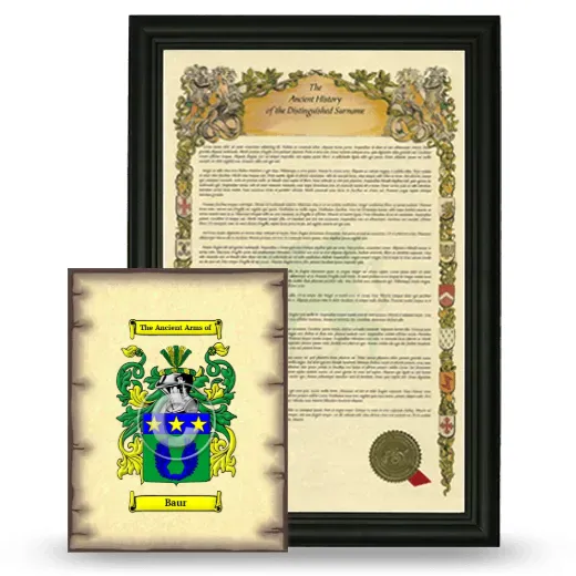 Baur Framed History and Coat of Arms Print - Black