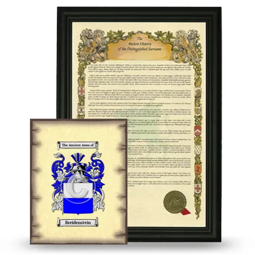 Breidenstein Framed History and Coat of Arms Print - Black