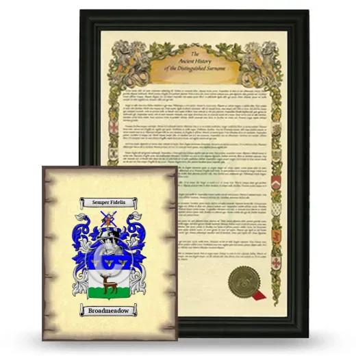 Broadmeadow Framed History and Coat of Arms Print - Black