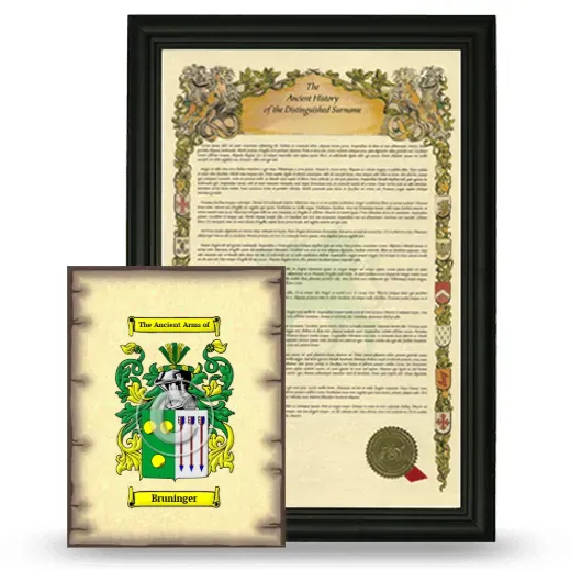 Bruninger Framed History and Coat of Arms Print - Black