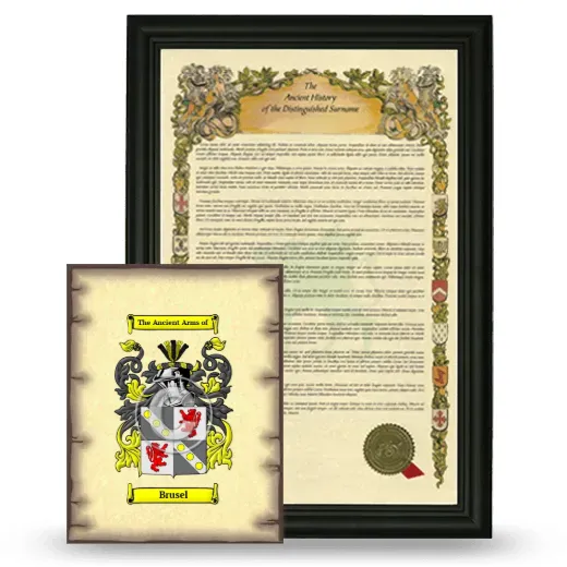 Brusel Framed History and Coat of Arms Print - Black