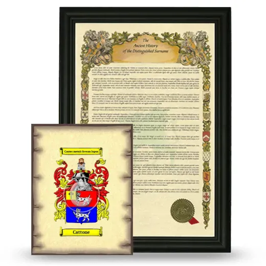 Cattone Framed History and Coat of Arms Print - Black