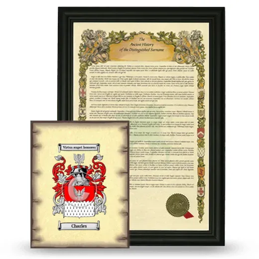 Charles Framed History and Coat of Arms Print - Black