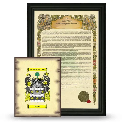 Elane Framed History and Coat of Arms Print - Black