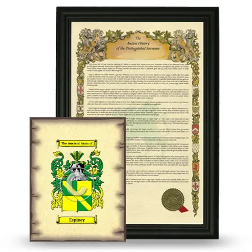 Espiney Framed History and Coat of Arms Print - Black
