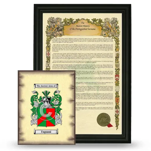 Fagnani Framed History and Coat of Arms Print - Black