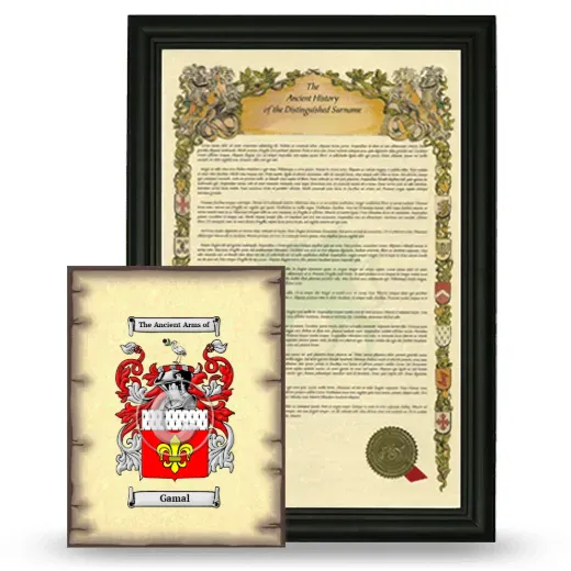 Gamal Framed History and Coat of Arms Print - Black