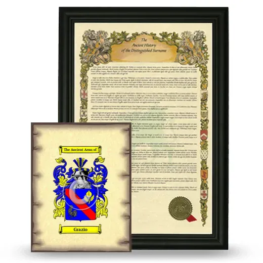 Grazio Framed History and Coat of Arms Print - Black