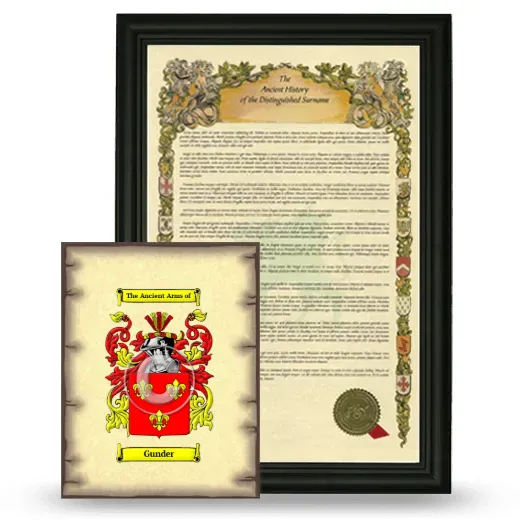 Gunder Framed History and Coat of Arms Print - Black