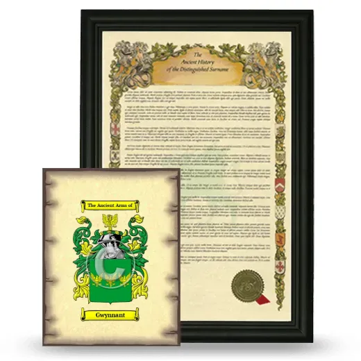Gwynnant Framed History and Coat of Arms Print - Black