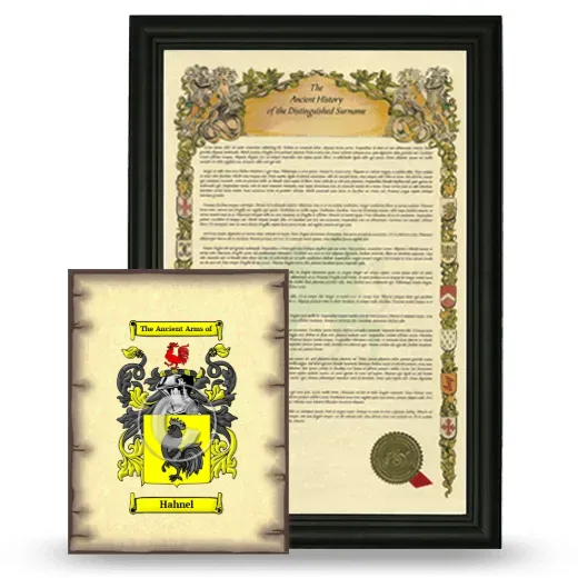 Hahnel Framed History and Coat of Arms Print - Black