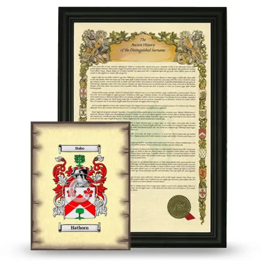 Hathorn Framed History and Coat of Arms Print - Black