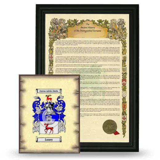Luney Framed History and Coat of Arms Print - Black