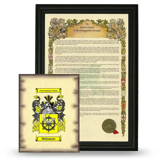 Molenauer Framed History and Coat of Arms Print - Black