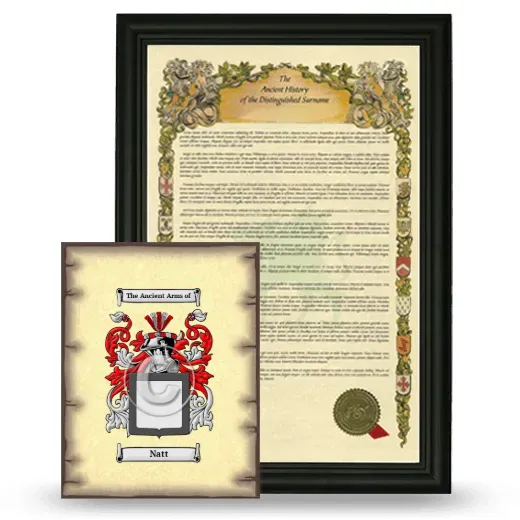 Natt Framed History and Coat of Arms Print - Black