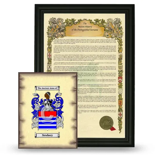 Newbery Framed History and Coat of Arms Print - Black