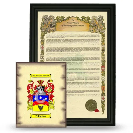 Pelligrino Framed History and Coat of Arms Print - Black