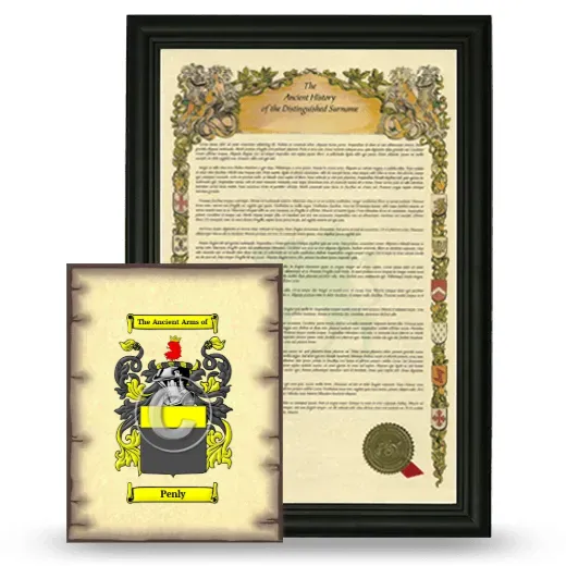 Penly Framed History and Coat of Arms Print - Black