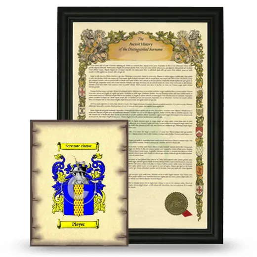 Pleyer Framed History and Coat of Arms Print - Black