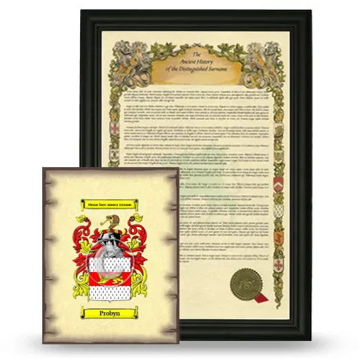 Probyn Framed History and Coat of Arms Print - Black
