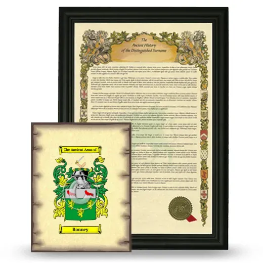 Ronney Framed History and Coat of Arms Print - Black