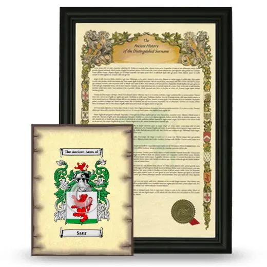 Saur Framed History and Coat of Arms Print - Black