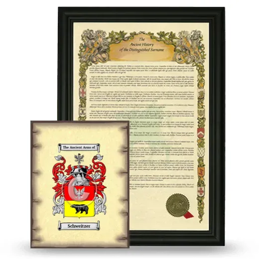 Schweitzer Framed History and Coat of Arms Print - Black