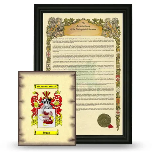 Segan Framed History and Coat of Arms Print - Black