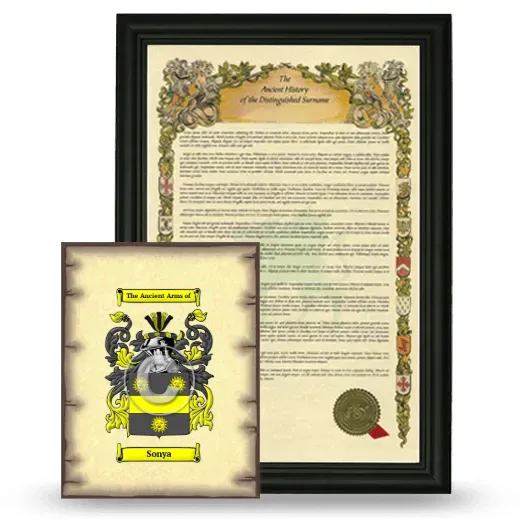 Sonya Framed History and Coat of Arms Print - Black