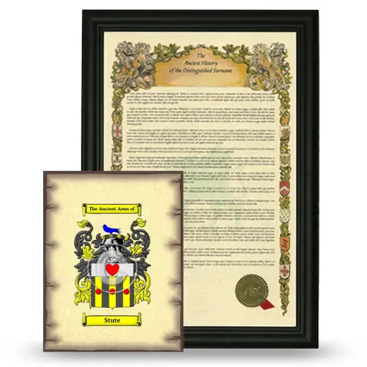 Stute Framed History and Coat of Arms Print - Black
