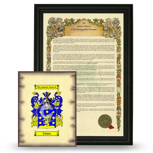 Totaro Framed History and Coat of Arms Print - Black