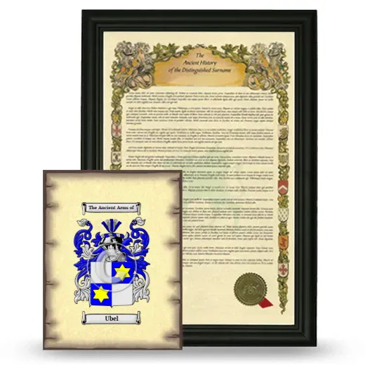 Ubel Framed History and Coat of Arms Print - Black