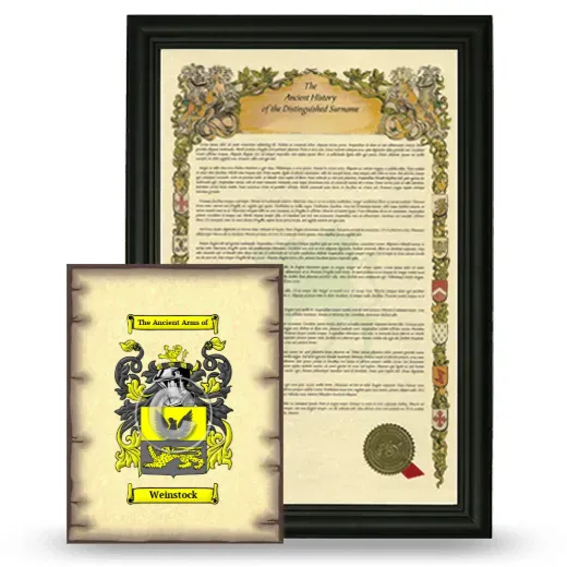 Weinstock Framed History and Coat of Arms Print - Black