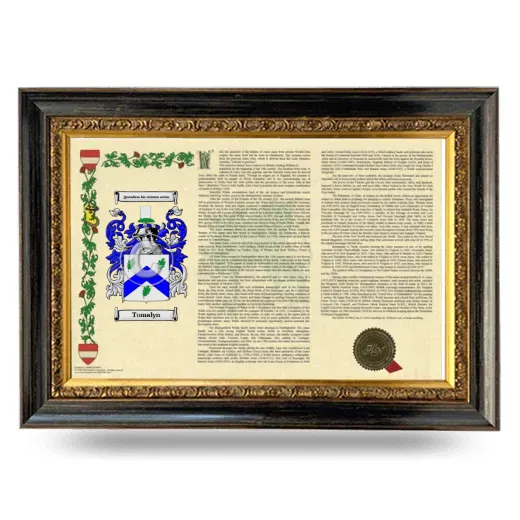 Tomalyn Armorial Landscape Framed - Heirloom