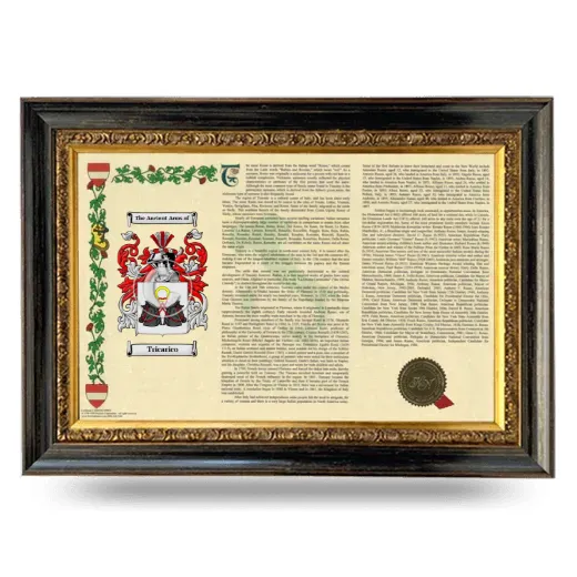 Tricarico Armorial Landscape Framed - Heirloom