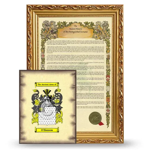 O'Hanson Framed History and Coat of Arms Print - Gold