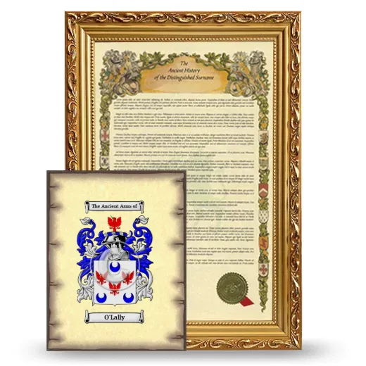 O'Lally Framed History and Coat of Arms Print - Gold