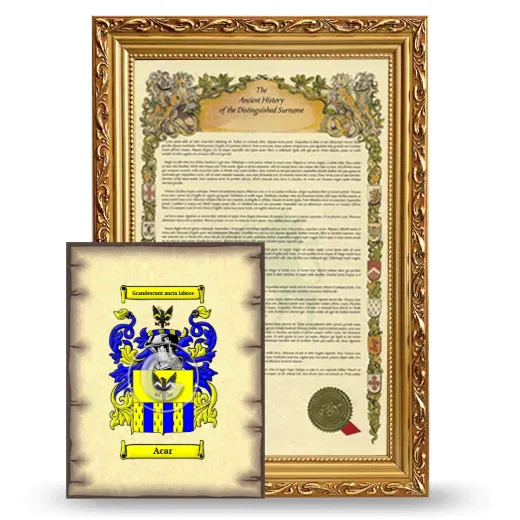 Acar Framed History and Coat of Arms Print - Gold