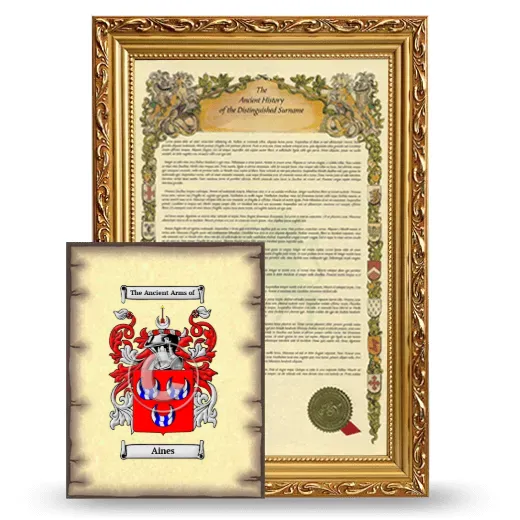 Aines Framed History and Coat of Arms Print - Gold