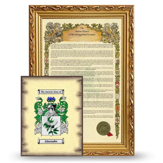 Almonder Framed History and Coat of Arms Print - Gold