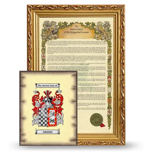 Amayas Framed History and Coat of Arms Print - Gold