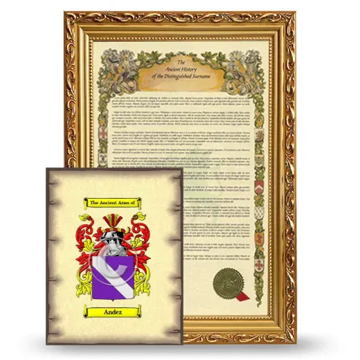 Andez Framed History and Coat of Arms Print - Gold