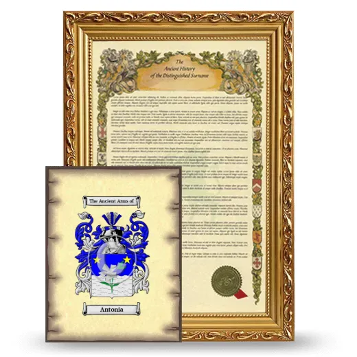 Antonia Framed History and Coat of Arms Print - Gold