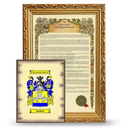 Apontes Framed History and Coat of Arms Print - Gold