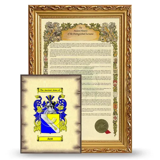 Arzt Framed History and Coat of Arms Print - Gold