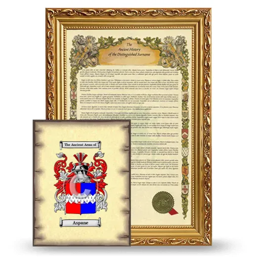 Aspane Framed History and Coat of Arms Print - Gold