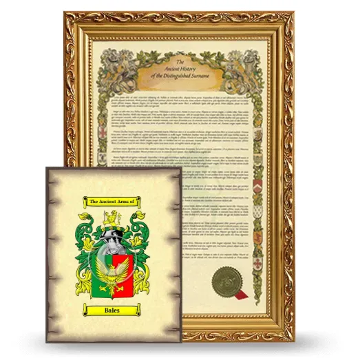 Bales Framed History and Coat of Arms Print - Gold